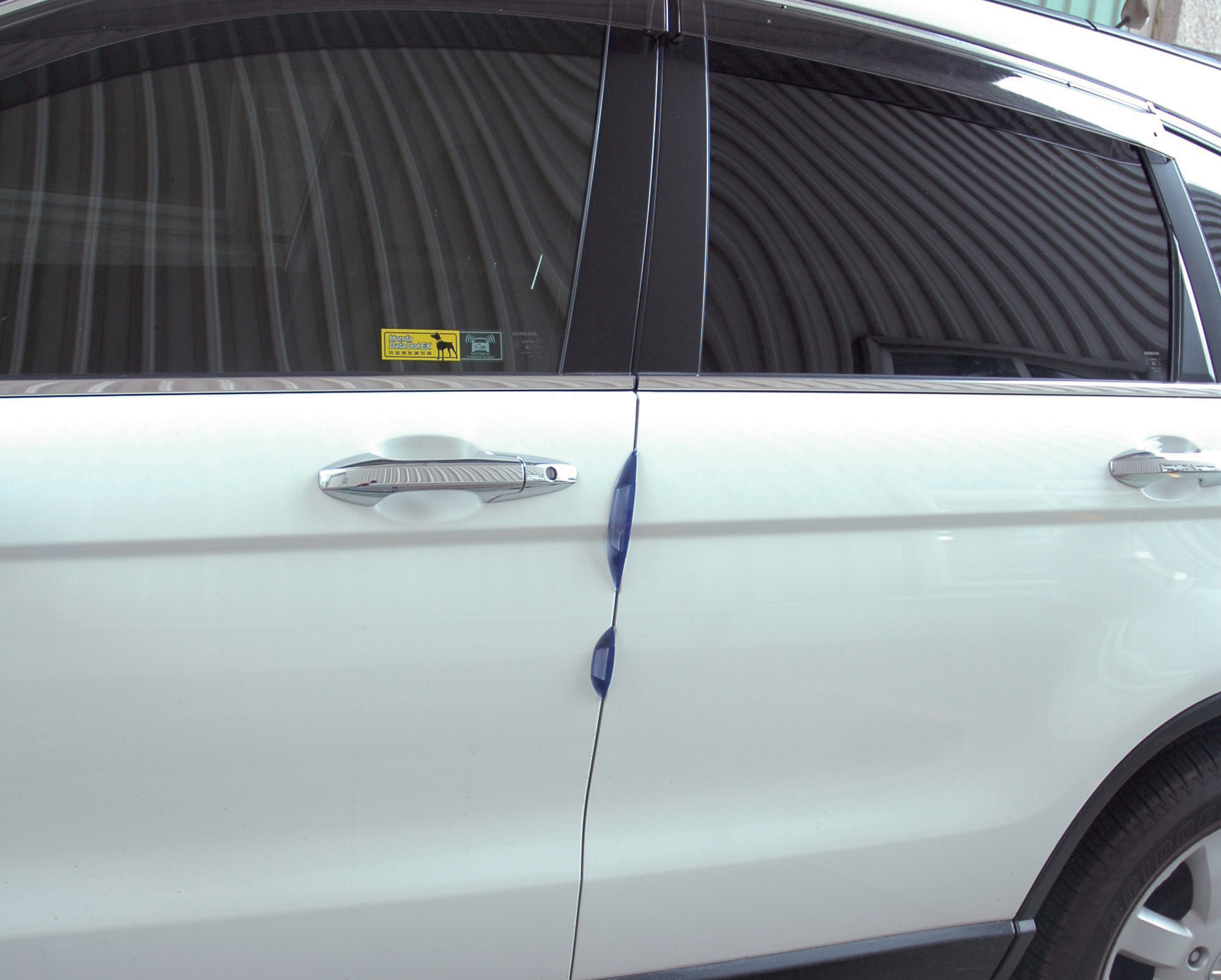 Stylish Car Door Guard HP6155
